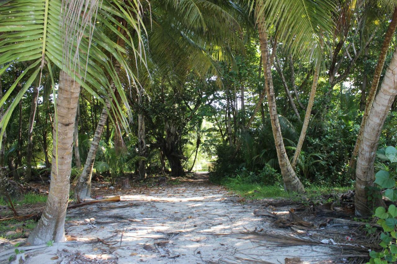 Chez Antoine Apartments Grand Anse  Esterno foto